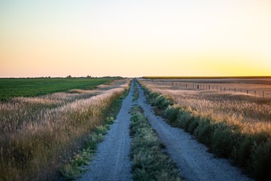 Lakeview Legacy Farms offers the best of South Dakota's sporting - photo 20