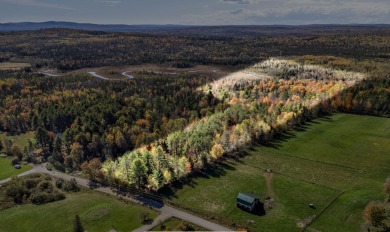Lake Acreage For Sale in Parkman, Maine