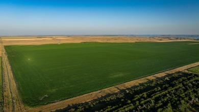 Lakeview Legacy Farms offers the best of South Dakota's sporting - photo 23