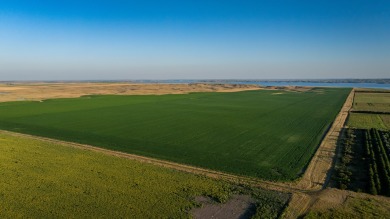 Lakeview Legacy Farms offers the best of South Dakota's sporting - photo 24