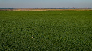 Lakeview Legacy Farms offers the best of South Dakota's sporting - photo 25