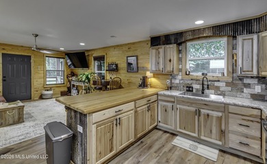 Welcome home to your own little slice of Mississippi paradise - photo 27