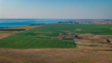 Lakeview Legacy Farms offers the best of South Dakota's sporting - photo 27