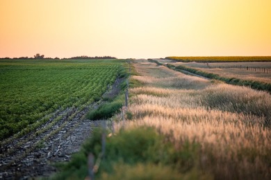 Lakeview Legacy Farms offers the best of South Dakota's sporting - photo 28