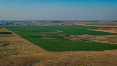 Lakeview Legacy Farms offers the best of South Dakota's sporting - photo 29
