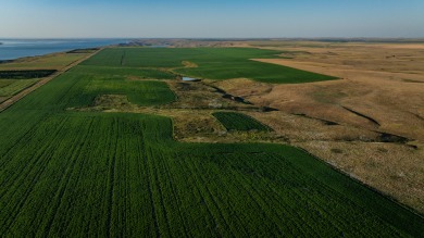 Lakeview Legacy Farms offers the best of South Dakota's sporting - photo 32