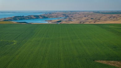 Lakeview Legacy Farms offers the best of South Dakota's sporting - photo 33
