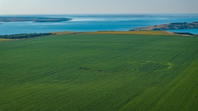 Lakeview Legacy Farms offers the best of South Dakota's sporting - photo 34