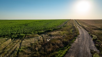 Lakeview Legacy Farms offers the best of South Dakota's sporting - photo 37