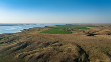 Lakeview Legacy Farms offers the best of South Dakota's sporting - photo 38