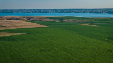 Lakeview Legacy Farms offers the best of South Dakota's sporting - photo 41