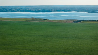Lakeview Legacy Farms offers the best of South Dakota's sporting - photo 42