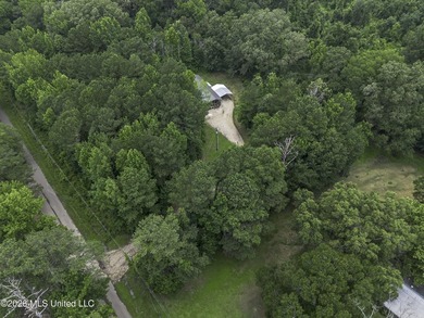 Welcome home to your own little slice of Mississippi paradise - photo 43