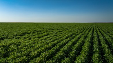Lakeview Legacy Farms offers the best of South Dakota's sporting - photo 43