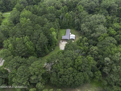 Welcome home to your own little slice of Mississippi paradise - photo 44