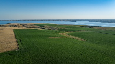 Lakeview Legacy Farms offers the best of South Dakota's sporting - photo 44