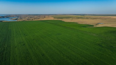 Lakeview Legacy Farms offers the best of South Dakota's sporting - photo 46