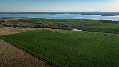 Lakeview Legacy Farms offers the best of South Dakota's sporting - photo 48