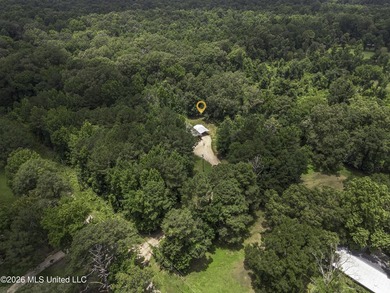 Welcome home to your own little slice of Mississippi paradise - photo 49