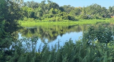 Lake Home Sale Pending in Brandon, Florida