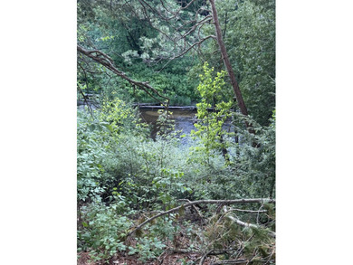 Escape to the natural beauty of Northern Michigan with this - photo 2