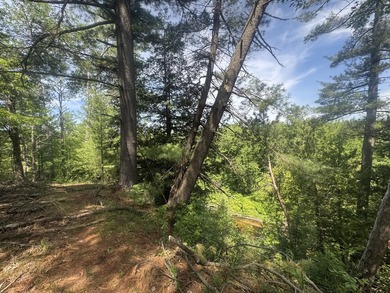 Escape to the natural beauty of Northern Michigan with this - photo 3