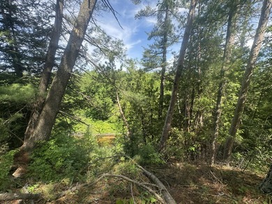 Escape to the natural beauty of Northern Michigan with this - photo 4