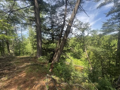 Escape to the natural beauty of Northern Michigan with this - photo 5