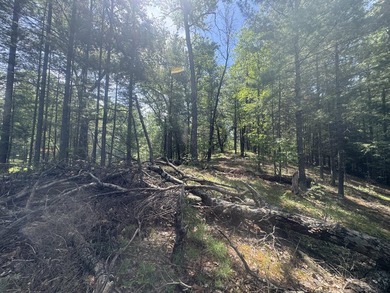 Escape to the natural beauty of Northern Michigan with this - photo 7