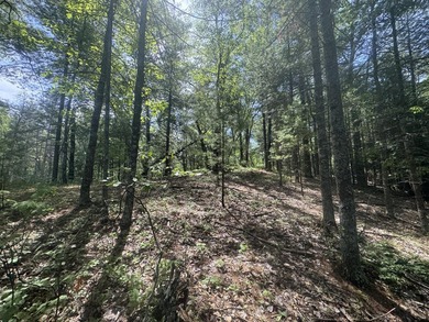 Escape to the natural beauty of Northern Michigan with this - photo 8
