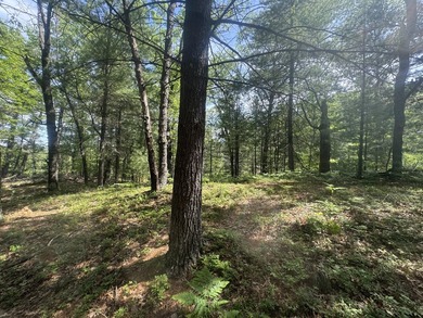 Escape to the natural beauty of Northern Michigan with this - photo 9