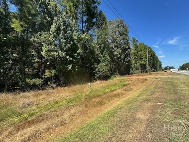 This exceptional +/-53-acre parcel is located on US Highway 17 - photo 1