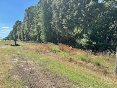 This exceptional +/-53-acre parcel is located on US Highway 17 - photo 2