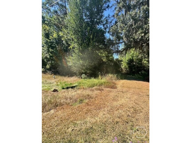 This exceptional +/-53-acre parcel is located on US Highway 17 - photo 3