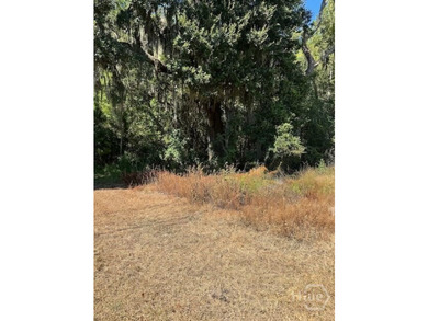 This exceptional +/-53-acre parcel is located on US Highway 17 - photo 4