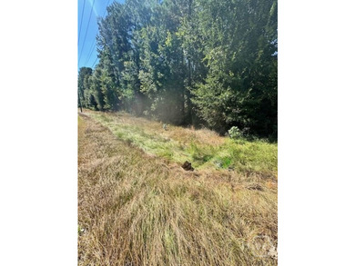 This exceptional +/-53-acre parcel is located on US Highway 17 - photo 6