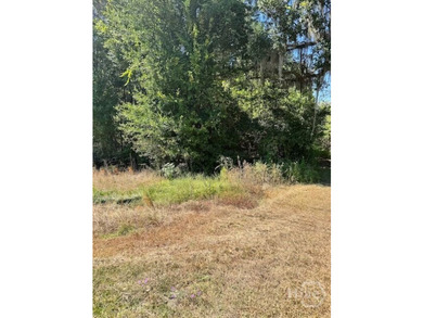 This exceptional +/-53-acre parcel is located on US Highway 17 - photo 7
