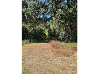 This exceptional +/-53-acre parcel is located on US Highway 17 - photo 8