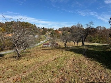 Dale Hollow Lake Acreage For Sale in Celina Tennessee