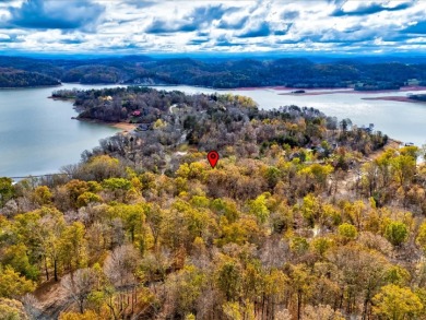 Escape to Your Cherokee Lake Retreat: Wooded Lot with Cove Access - photo 12