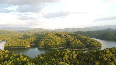 Lake Lot For Sale in Bryson City, North Carolina