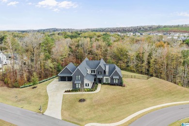 Cahaba River Home For Sale in Hoover Alabama