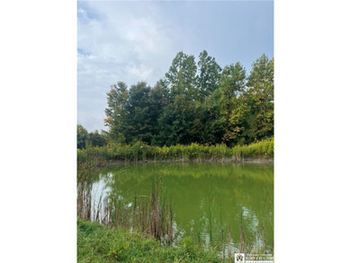 (private lake, pond, coastal) Acreage Sale Pending in Ripley New York