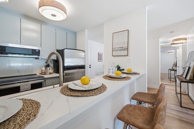 Welcome to 288 Whitmore St #121, a fully updated 1BD/1BA condo - photo 8
