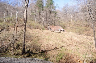 (private lake, pond, creek) Acreage For Sale in Burnsville North Carolina