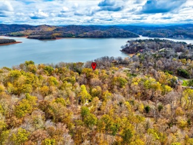 Escape to Your Cherokee Lake Retreat: Wooded Lot with Cove Access - photo 13
