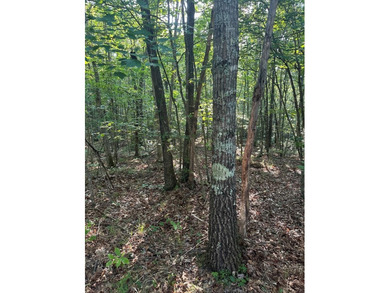 (private lake, pond, creek) Acreage For Sale in Wilder Tennessee