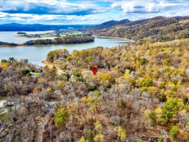 Escape to Your Cherokee Lake Retreat: Wooded Lot with Cove Access - photo 7