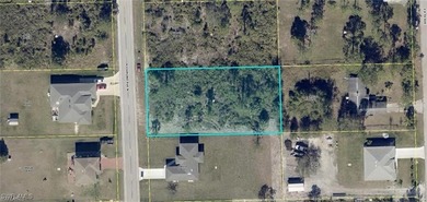 Lehigh Acres Area Lot For Sale in Lehigh Acres Florida