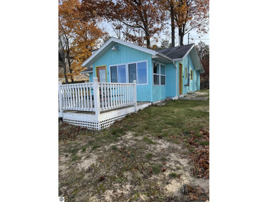 Lake Home For Sale in Lake City, Michigan